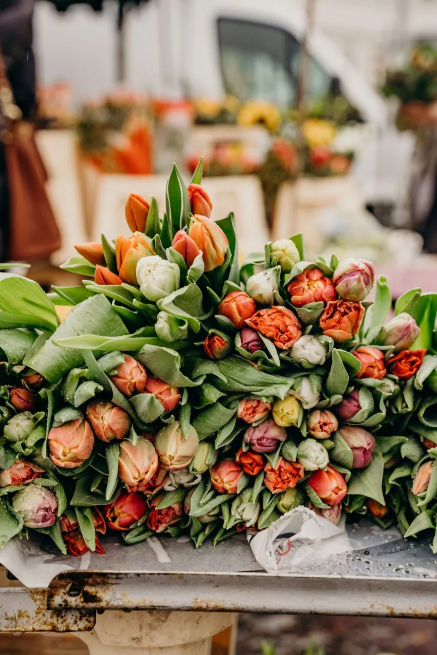 Tulipany w wazonie