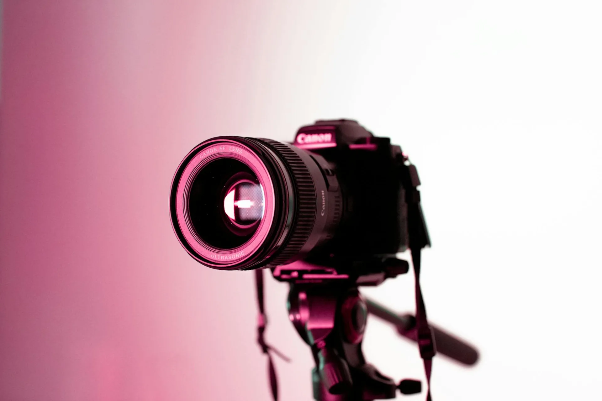 Fotograf — photo studio lights